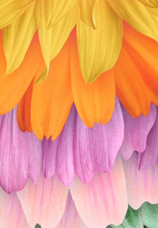 26SS [키즈] 몰로 폴로 셔츠 2S26J204 9824 MULTICOLOR - MOLO