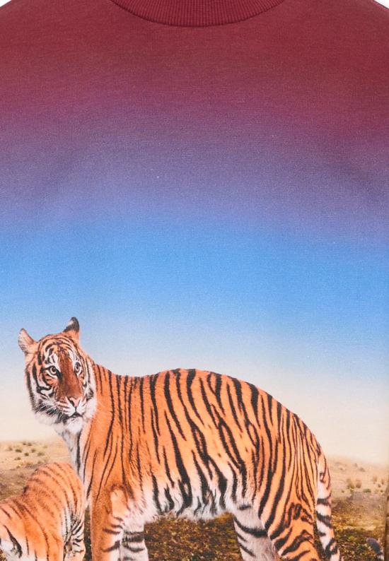 26SS [키즈] 몰로 트레이닝 상의 1S26J205 9861 MULTICOLOR - MOLO