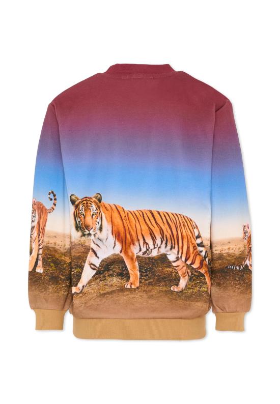 26SS [키즈] 몰로 트레이닝 상의 1S26J205 9861 MULTICOLOR - MOLO