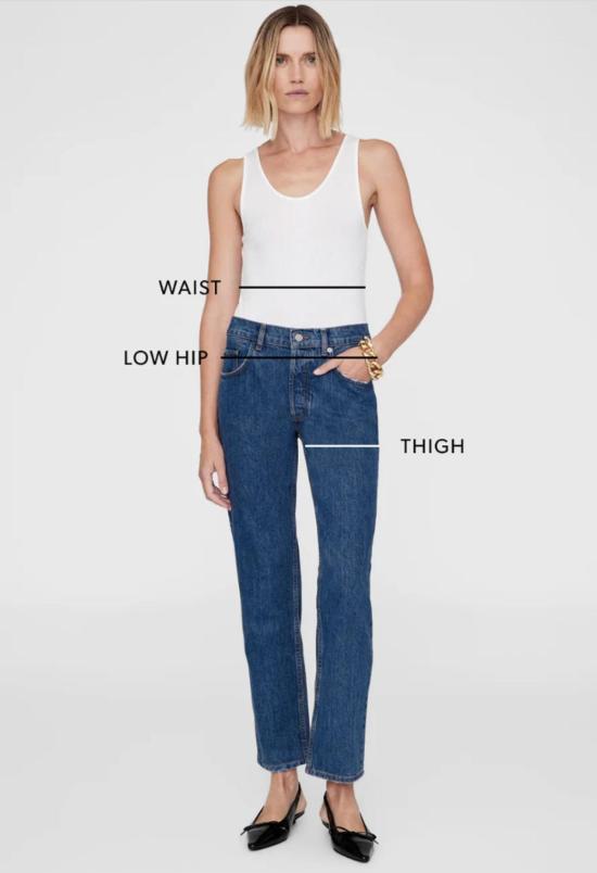  애니빙 데님 팬츠 아니네 빙 프리츠 데님 진 - ANINE BING