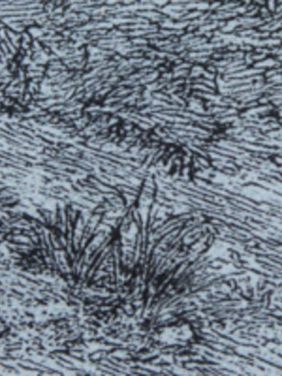 26SS [키즈] 누메로벤투노 셔츠 N210CPN0474 0N825 Clear Blue - N°21