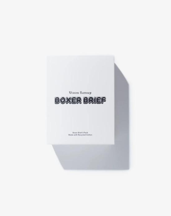  vivien ramsay 팬티 비비안 램지 복서 브리프 3팩 속옷 - OTHER BRANDS