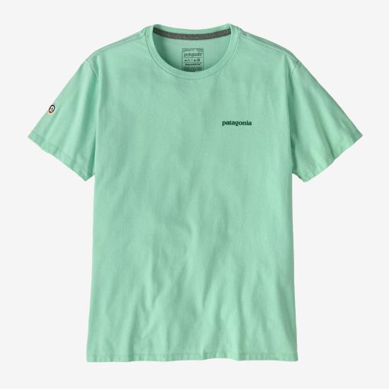  파타고니아 피츠 로이 아이콘 티셔츠 37665RNSG RINSED GREEN DOM