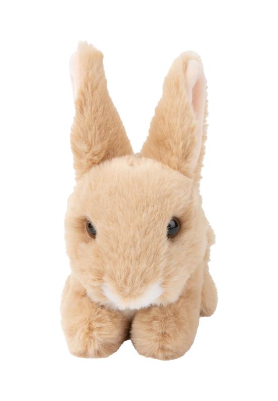 25FW [키즈] Bon ton toys 어린이 완구 15182013 WWF ECO RABBIT BEIGE