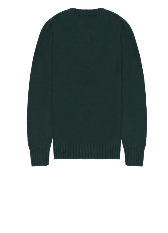 25FW [키즈] 랄프 로렌 트레이닝 상의 978393 001 Green - RALPH LAUREN