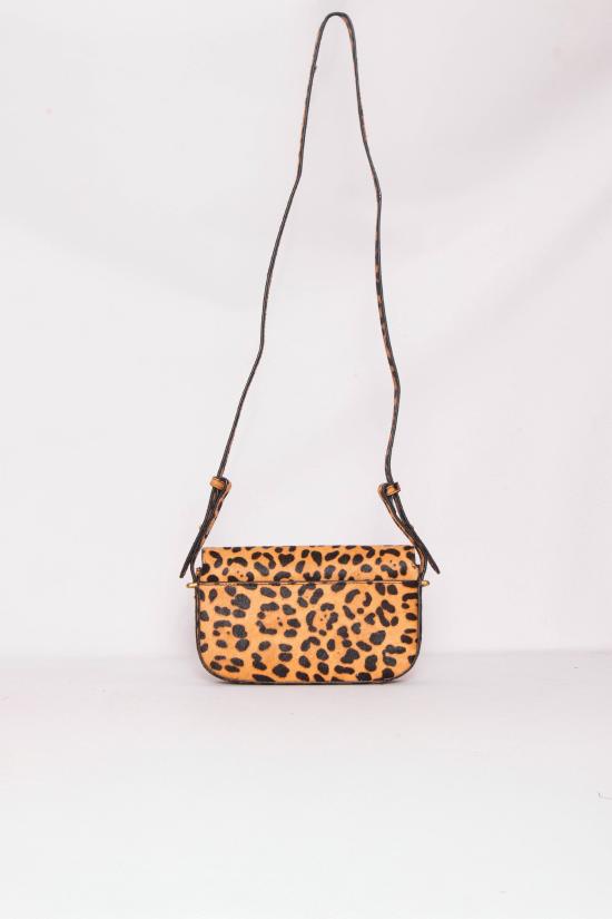 25FW 비꼴로 백팩 XF0004 BEIGE Beige - VICOLO