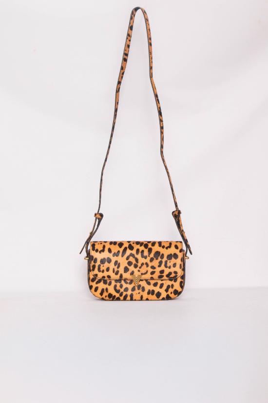 25FW 비꼴로 백팩 XF0004 BEIGE Beige