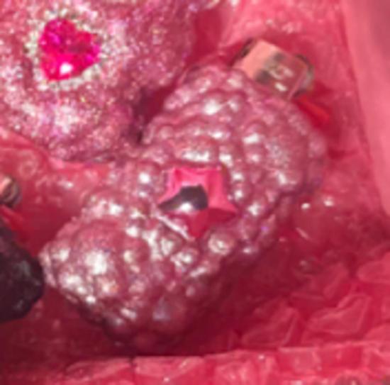  Lighters by Bella 액세서리 Bella Mini 라이터 케이스 - OTHER BRANDS