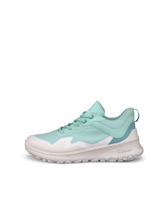  에코 스니커즈 82433361228 GREEN DOM
