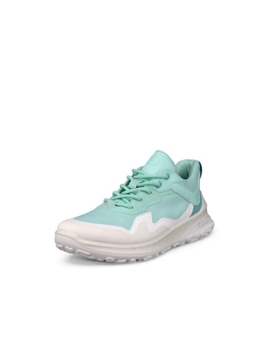  에코 스니커즈 82433361228 GREEN DOM - ECCO