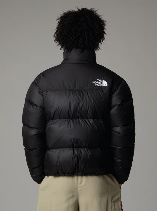 25FW 노스페이스 자켓 NF0A3C8Dgoe1 - NORTH FACE