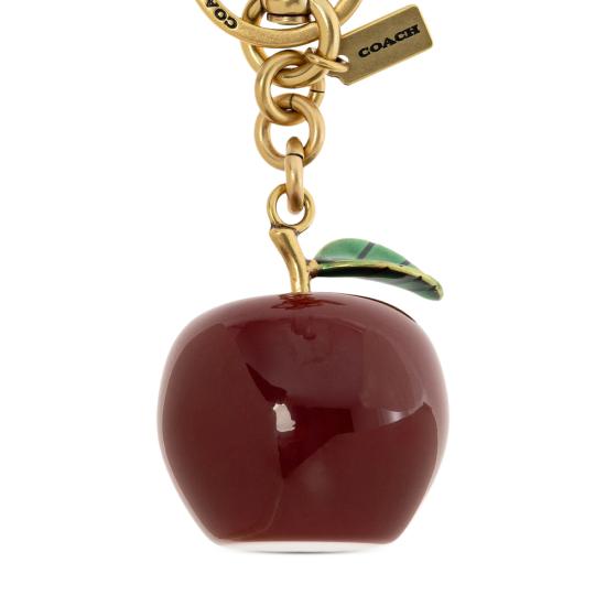 26SS 코치 키링 CY399 MULTI GOLD RED - COACH