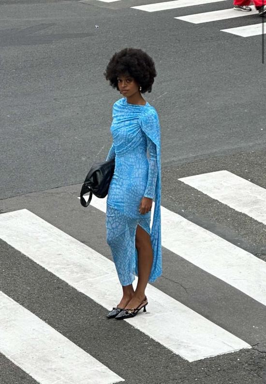  SAEMDI 롱 원피스 사엠디 스네이크 메시 롱 슬리브 드레스 블루 - SAEMDI