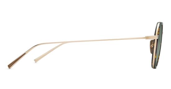 25FW 디타 안경 DTS475 A 01 GOLD TORTOISE - DITA