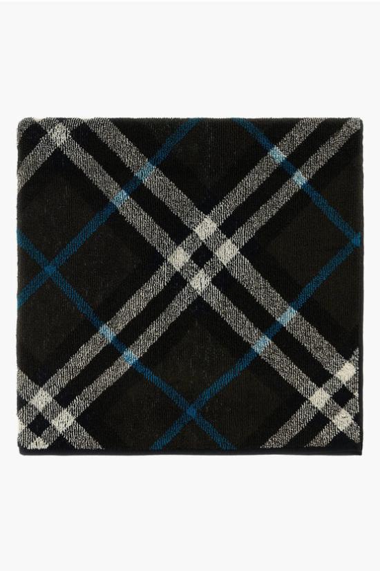  버버리 비치용품 8093941 C1170 Black