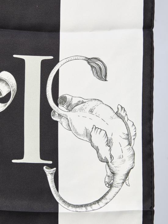 26SS 셀린느 머플러/스카프 2AW902Q53 GGO3 WHITE - CELINE