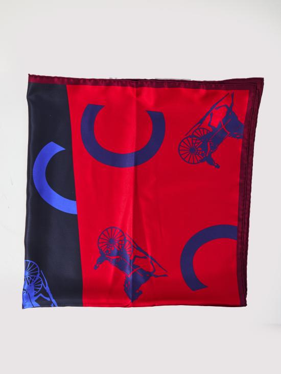 26SS 셀린느 머플러/스카프 2AW902Q32 GGN8 RED