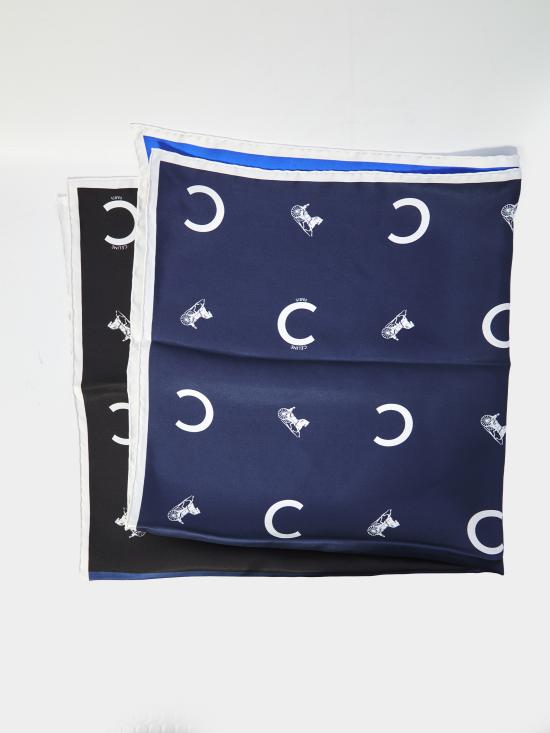 26SS 셀린느 머플러/스카프 2AW902Q23 07NU BLUE