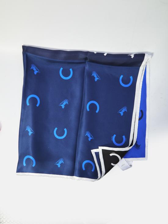 26SS 셀린느 머플러/스카프 2AW902Q23 07NU BLUE - CELINE