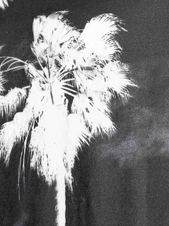  팜앤젤스 반팔 티셔츠 PMAA10DF25JER0010310 Black - PALM ANGELS