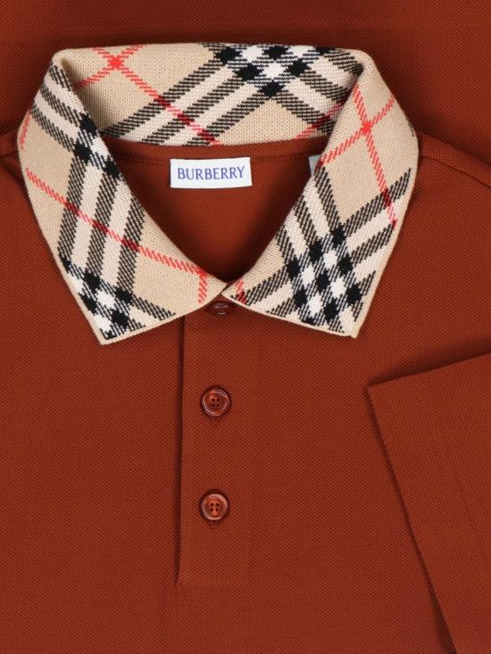 26SS 버버리 체크 칼라 코튼 폴로 셔츠 8118948C4173 Brown - BURBERRY