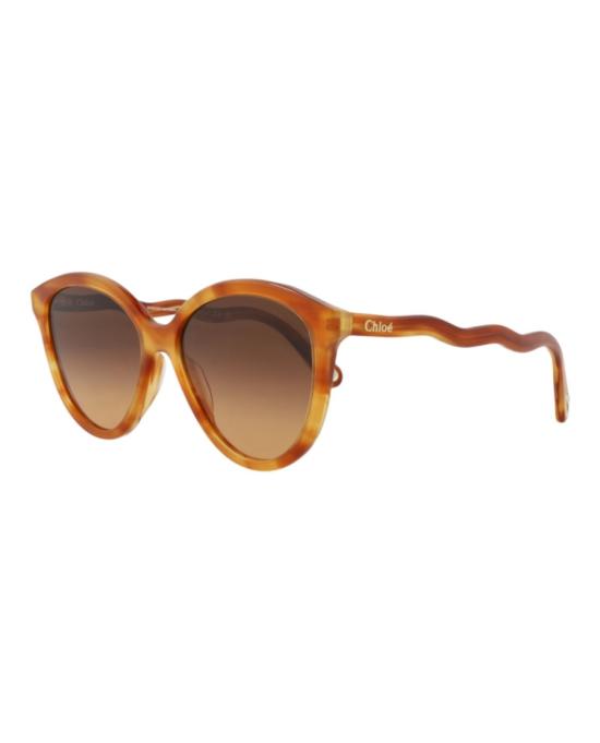  끌로에 선글라스 CH0087S 30012393 002 20355 NS Brown - CHLOE