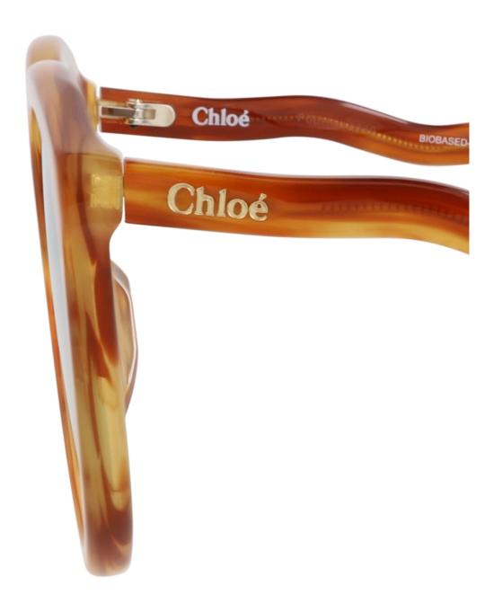 끌로에 선글라스 CH0087S 30012393 002 20355 NS Brown - CHLOE