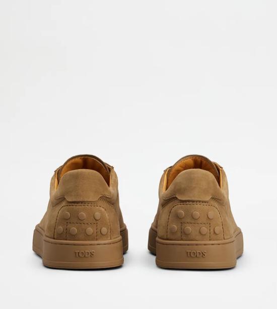 25FW 토즈 스니커즈 XXM04L0HZ40HR0C414 Brown - TODS