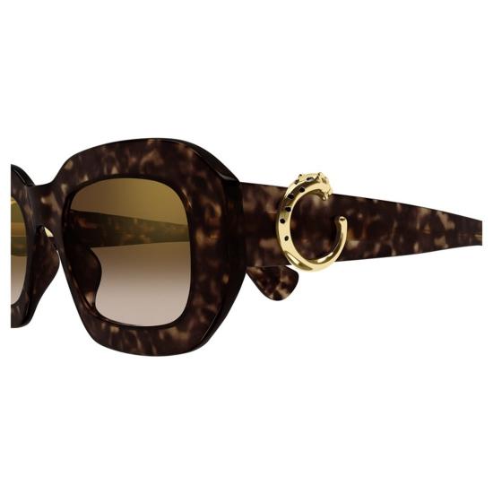  까르띠에 선글라스 CT0546S 002 Havana - CARTIER