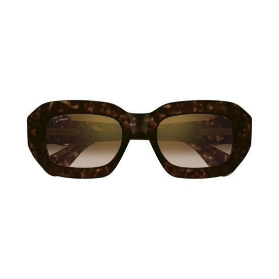  까르띠에 선글라스 CT0546S 002 Havana - CARTIER