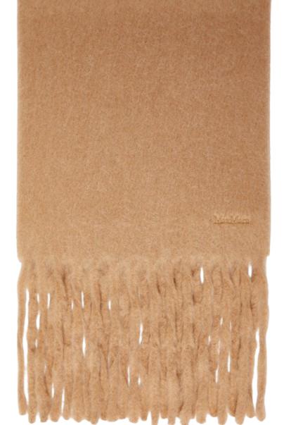 25FW 막스마라 머플러/스카프 2524546022600 OSSO003