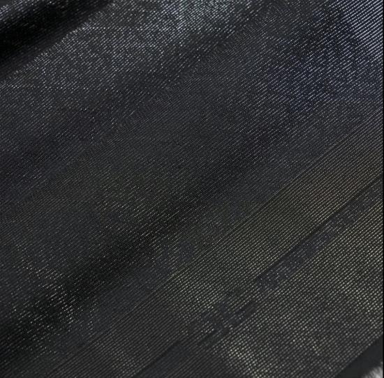 25FW 엘리자베타프랜치 머플러/스카프 SC12F56E2 110 Black - ELISABETTA FRANCHI