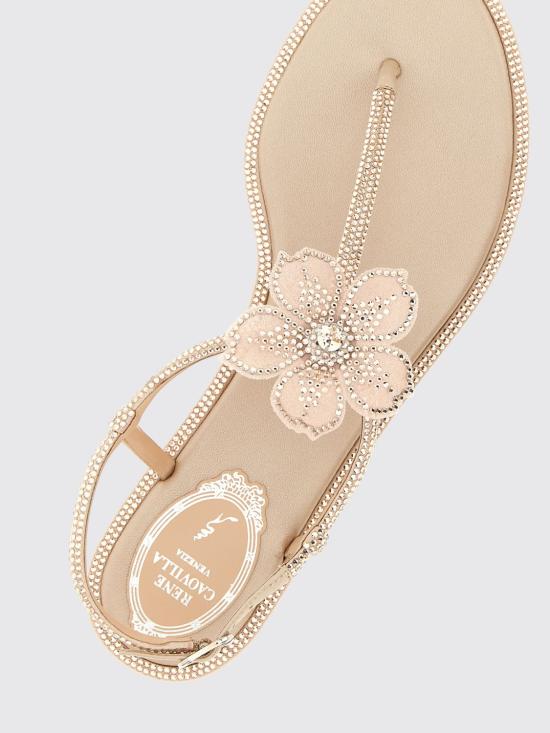 26SS 르네 카오빌라 힐/펌프스 C12504010R001 V233 Pink - RENE CAOVILLA