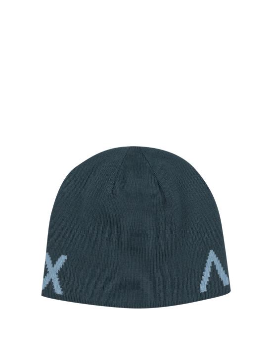 26SS 아크테릭스 비니 X000007590WORD HEAD TQNIGHTSCAPE GLACIAL Blue - ARC`TERYX