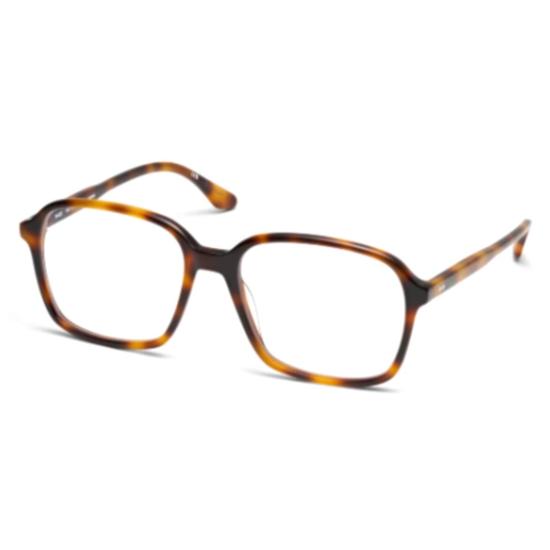 26SS 피터 앤 메이 선글라스 LT16 MARGUERITE HAVANA HAVANA - PETER AND MAY