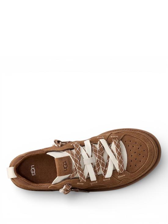 26SS 어그 스니커즈 1177035 CHE Brown - UGG