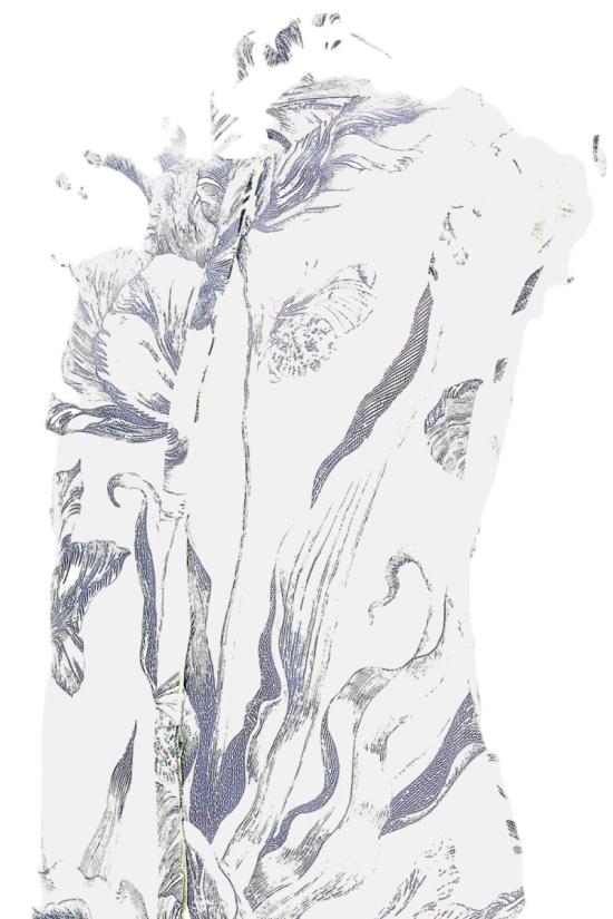 26SS 에르뎀 블라우스 PS26T1251069002BOTANICAL White - ERDEM