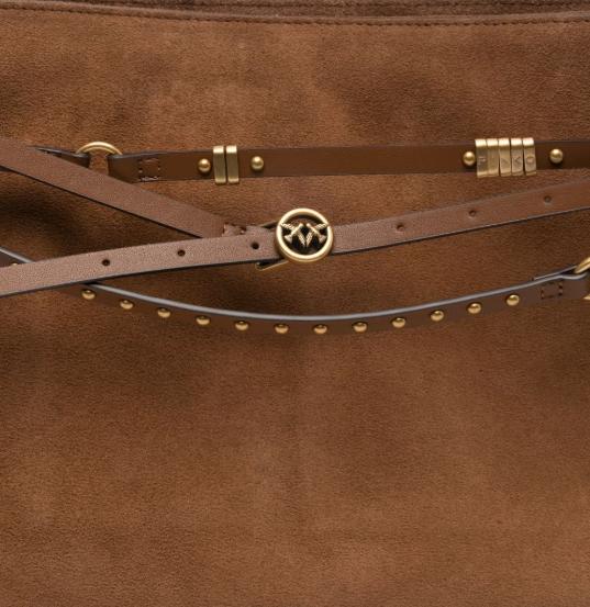 26SS 핑코 토트백 105903A0F6 L17Q Marrone leone antique gold - PINKO