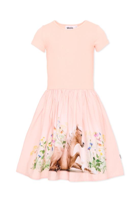 26SS [키즈] 몰로 원피스 2S26E102 5674 PINK