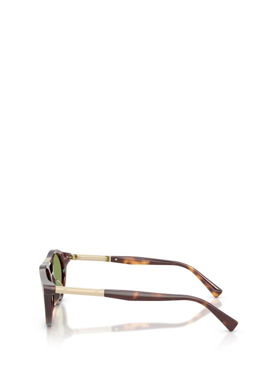 26FW 브루넬로 쿠치넬리 선글라스 BC4020S 103352 HAVANA BORGO - BRUNELLO CUCINELLI