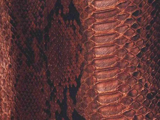  장 폴 고티에 원피스 수영복 SW093J035P6000 Brown - JEAN PAUL GAULTIER