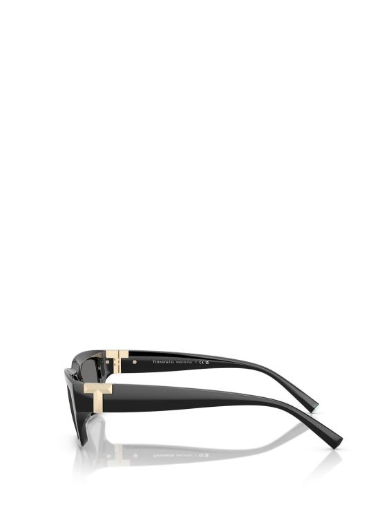 26FW 티파니앤코 선글라스 TF4226U 8001S4 BLACK - TIFFANY & CO