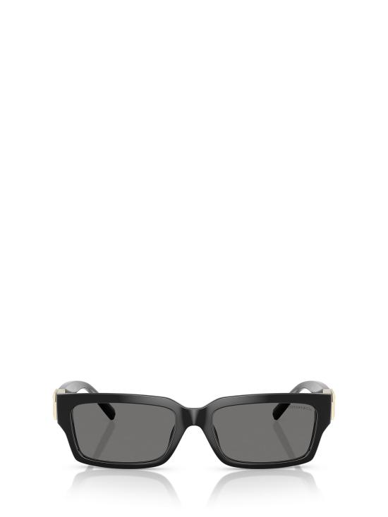26FW 티파니앤코 선글라스 TF4226U 8001S4 BLACK