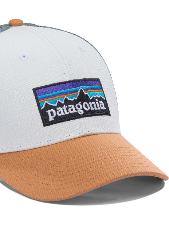 26SS 파타고니아 볼캡 38283WTPE Grey - PATAGONIA
