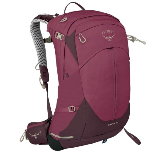  오스프리 백팩 10005784ELDERBERRY PURPLE CHIRU TAN Burgundy - OSPREY