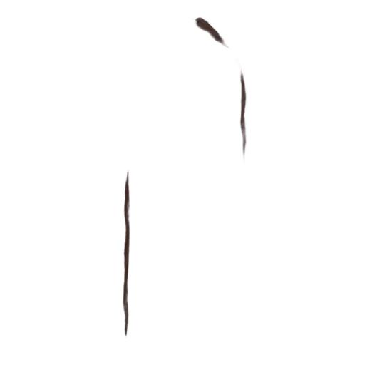 26SS 오세리 스트레이트 팬츠 LPF261CHOCOLATE Brown - OSÉREE