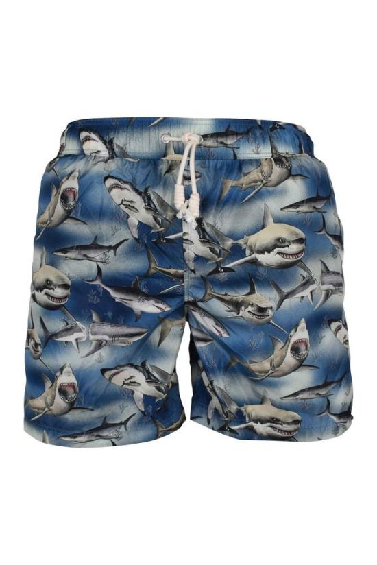  팜앤젤스 스윔팬츠 블루 세일러 프린트 나일론 수영 반바지