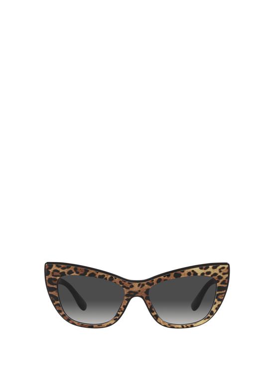 26FW 돌체앤가바나 선글라스 DG4417 31638G LEO BROWN BLACK
