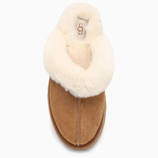 26SS 어그 디스케트 슬리퍼 1122550SUE CHE BROWN - UGG