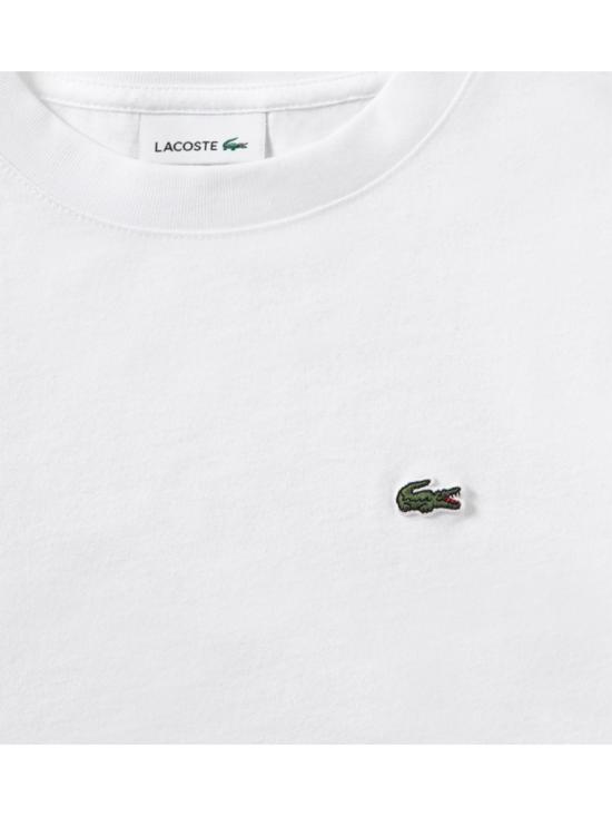 26SS [키즈] 라코스테 티셔츠 847025K W8L WHITE - LACOSTE